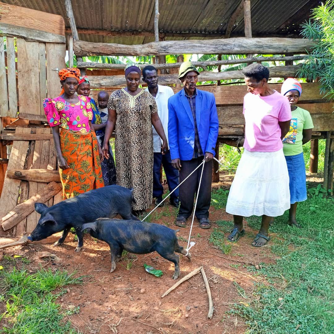 Support family livelihoods