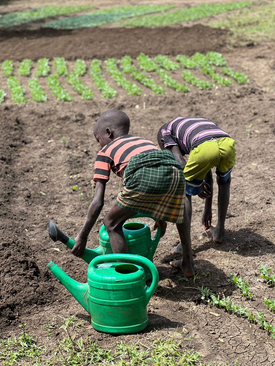 Sustainable livelihoods